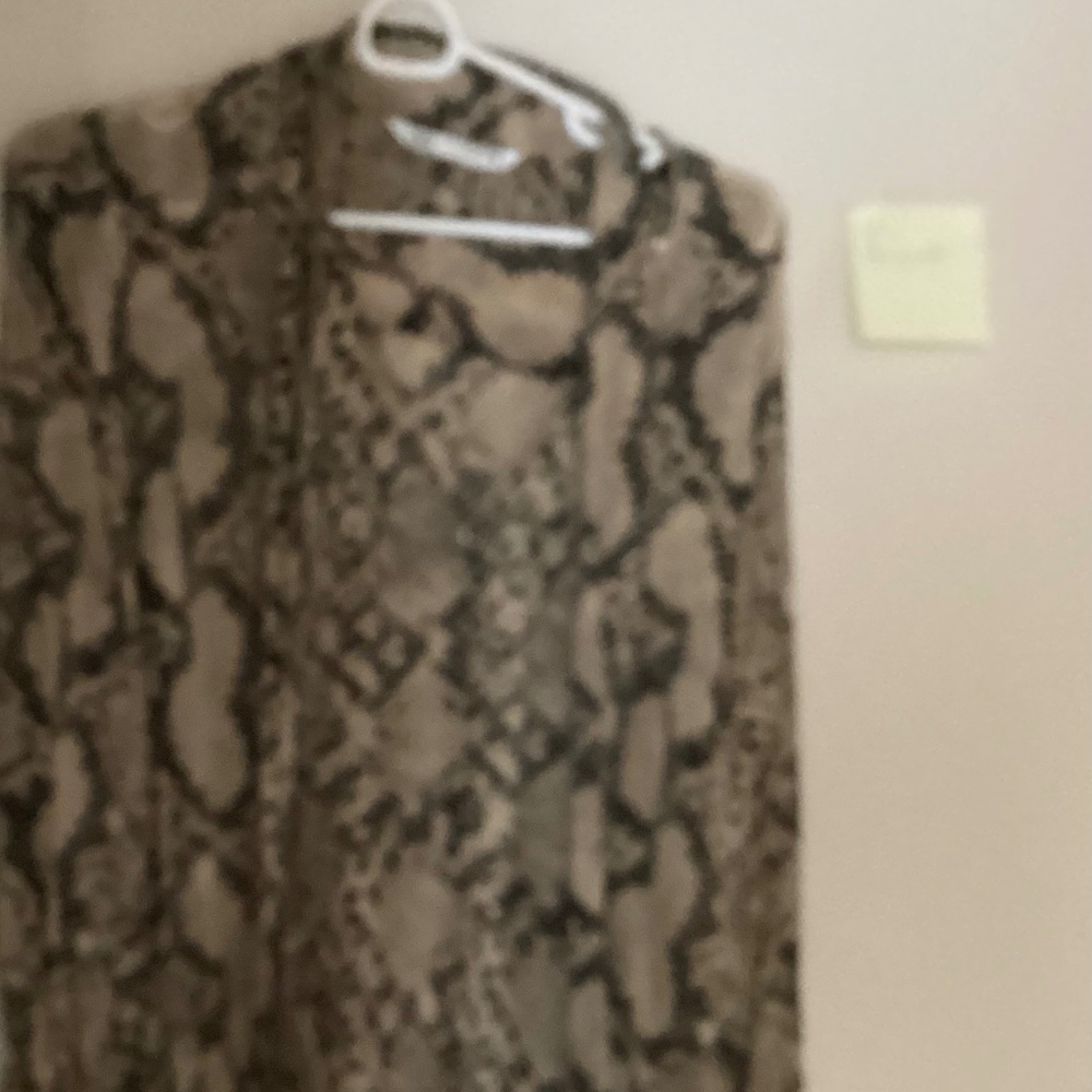 Zara Snake Print Blouse